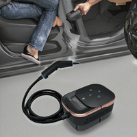 Nettoyeur vapeur électrique à main haute température vapeur haute pression pour le nettoyage de la maison et de la voiture pour le ménage et l'hôtel