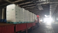Granulés de polypropylène à fibres courtes de qualité supérieure 1102K blancs en provenance de Chine pour l'injection plastique haute résistance