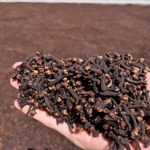 工場卸売 100% 純粋天然 高品質 ホールクローブ 卸売価格 自然栽培 ハーブ食品 調味料 スパイス クローブ - Product Image 2