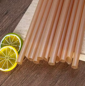 Gran oferta, pajitas <span class=keywords><strong>de</strong></span> <span class=keywords><strong>caña</strong></span> <span class=keywords><strong>de</strong></span> azúcar ecológicas <span class=keywords><strong>de</strong></span> moda biodegradables compostables, pajitas <span class=keywords><strong>de</strong></span> pulpa <span class=keywords><strong>de</strong></span> papel <span class=keywords><strong>de</strong></span> bagazo <span class=keywords><strong>de</strong></span> <span class=keywords><strong>caña</strong></span> <span class=keywords><strong>de</strong></span> azúcar - Product Image 2