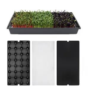 Hydroponic Planting 1020 Flat Seed Germination Sprouter Microgreens Seeding Tray For Wheatgrass Fodder Rice Sprouts Vegetable