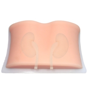 Ilmu Kedokteran Model Tusukan Ginjal Dipandu Oleh Ultrasound untuk Pelatihan B Praktek Pengajaran Perforasi Ginjal Ultrasonik - Product Image 1
