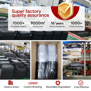 Wegwerp Pp Plastic Voedselbakken Met Ops Deksel Afhaalmaaltijden - Product Image 6