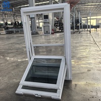 Ventanas de PVC de Doble Acristalamiento Personalizadas con Malla de Fibra de Vidrio, Aislamiento Térmico, Ventana de PVC de Doble Hoja para Cocina