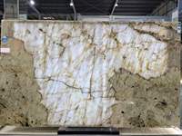 Dalle de granit de Patagonie poli transparent de luxe en quartzite naturelle de Patagonie du Brésil