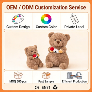 Orsacchiotto di Peluche Ricamato per Alleviare lo Stress, Regalo di Compleanno, Orsetto di Peluche all'Ingrosso - Product Image 2