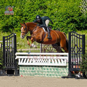 <strong>Aluminum</strong> <strong>Jump</strong> Stands Horse <strong>Show</strong> Jumping <strong>Jumps</strong> Schooling Stands - Product Image 5