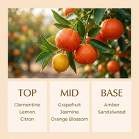Diffuseur d'ambiance pour la maison, chambre à coucher, parfum longue durée, bâtonnets carrés sans flamme, aromathérapie aux huiles essentielles, encens
