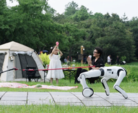 Robot populaire Qiyuans T1 à double morphologie, mouvement silencieux sur roues pour intérieur, robot quadrupède pour extérieur, adapté aux terrains complexes