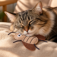 Jouet à mâcher interactif pour chat en peluche en forme de cafard de dessin animé mignon avec herbe à chat, jouet doux en peluche pour chaton à mordiller et jouer