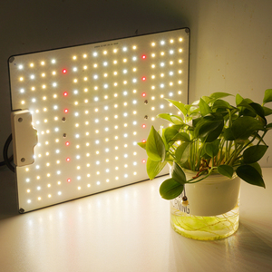Lampe de culture LED Quantum 70W à spectre complet avec faisceau de 120 degrés pour plantes d'intérieur, semis et tentes de culture à domicile - Product Image 4