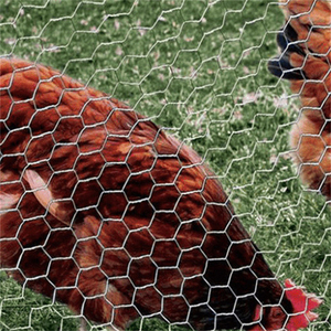 Thép Cây Hàn lưới trong 12 thép bị biến dạng thép thanh lưới tăng cường bảng điều khiển với đồng bằng dệt dự án dây lưới Bảng điều khiển - Product Image 3