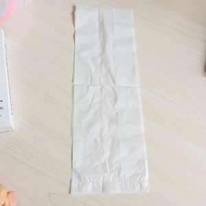 Bolsas Desechables HC con Refuerzo Lateral para Productos de Higiene Menstrual, Tampones, Toallas Sanitarias, Protectores Diarios - Empaque en Cartón, Plástico PE, Cuidado Personal - Product Image 6