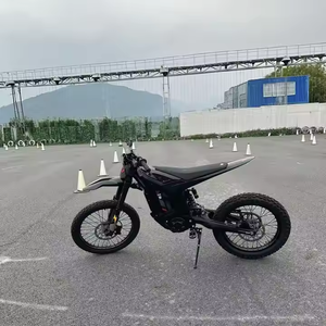 Motocicleta Eléctrica de Alta Calidad 72V55Ah 20KW Central Lithium Clouded Leopard XE PRO S, Potente, con Frenos de Disco, 125km/h - Product Image 1