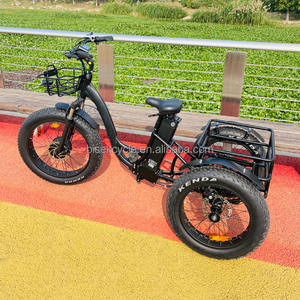 <span class=keywords><strong>2023</strong></span> nouvelle production de Tricycle électrique moto 500W moteur puissance vélo <span class=keywords><strong>cargo</strong></span> électrique batterie Certification 3 roues pour adulte - Product Image 4