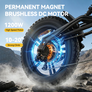 Hidoes B6 Fatbike Elektrische Fiets Fietsen Moped Dirt Hybrid Bike Magazijn Fatbike Electric Electrische Fiets EU UK US Stock - Product Image 2