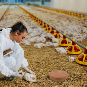 Tappetino Rotondo in Finta Pelliccia di Alta Qualità 22cm per Nido di Piccione Lavabile a Mano Accessorio per Nido di Piccione Forniture per Uccelli - Product Image 5