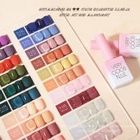 Kit de vernis à ongles en gel écologique non toxique de 15 ml, série Flower Stream 2025, 44 couleurs, avec nuancier pour salon de manucure