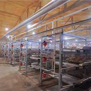 Poulailler pour fermes élevage de volailles poulets de chair 10000 cage à poulets close house - Product Image 1