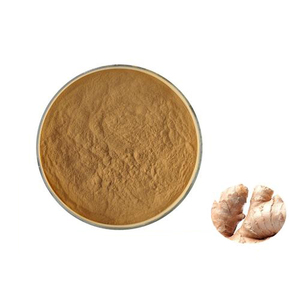 Ginger <strong>Root</strong> Zingiber Officinale <strong>Extract</strong> Gingerols <strong>1</strong>% 5% <strong>10</strong>% 15% 20% Powder - Product Image 5