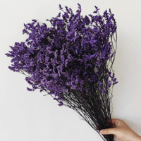 Fleurs Séchées Naturelles Écologiques Décoratives Plantes Préservées Feuille de Limonium Herbe Éternelle Cristalline Décoration Maison Mariage
