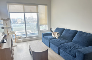 โซฟาพกพาวัสดุ PC รุ่นใหม่ พร้อมระบบควบคุมผ่านแอป ดีไซน์กะทัดรัด เหมาะสำหรับใช้ในบ้าน สำนักงาน และโรงแรม - Product Image 5