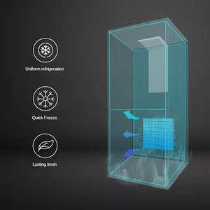 Refrigerador de Doble Puerta con Enfriamiento Directo, Minimalista, para el Hogar, Ideal para Familias, en Oferta - Product Image 2
