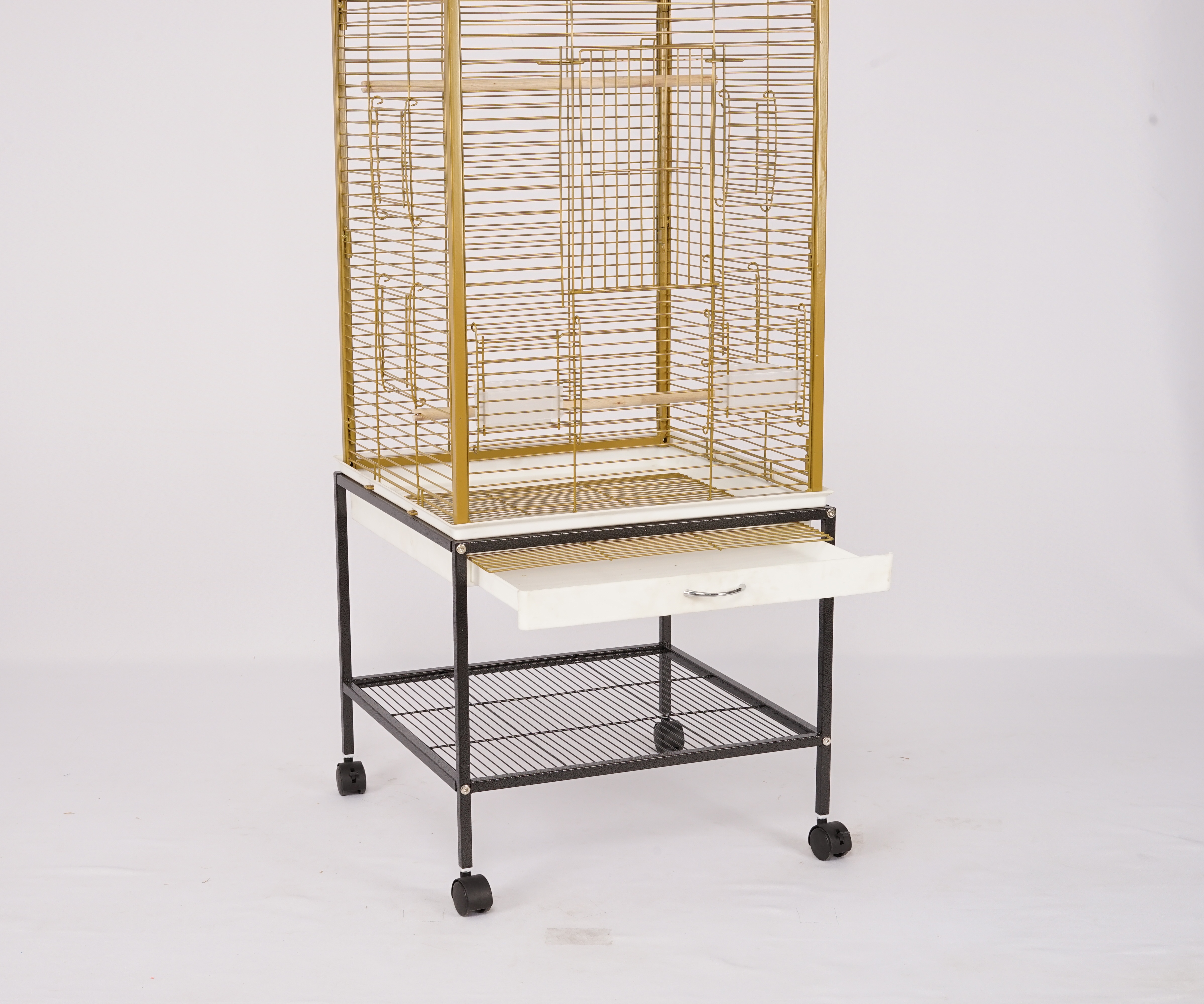 Gold Macaw Macaw Travel Cage O Bird Macaw Transport Cage Macaw