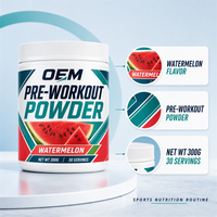 Poudre de pré-entraînement LuvVita OEM, formule personnalisée, marque privée, vente en gros, supplément végétalien, 500g, créatine, poudre de pré-entraînement