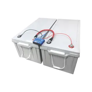Lood-zuur Batterijen Voltage Balancers 24V Batterij Equalizer Voor LifePO4 Batterijen