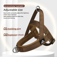 Nouveau Harnais pour Chien Tendance et Coloré, Respirant, en Nylon Simple avec Bord Réfléchissant Élargi pour Chiots