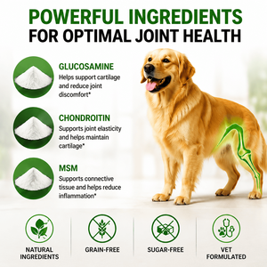 Friandises Tendres Sans Céréales pour Chiens, Soutien Hanches et Articulations, Saveur Poulet, Glucosamine Chondroïtine MSM, Marque Privée, Fabrication OEM/ODM aux États-Unis - Product Image 3