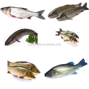 Máquina de escalado y eviscerado de pescado <span class=keywords><strong>Vertical</strong></span> DE LA INDUSTRIA Máquina de limpieza de pescado Máquina de escalado de pescado eléctrico - Product Image 3