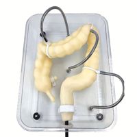 Modèle KyrenMed Colon Modèle de formation Coloscopie Modèle de formation Coloscopie virtuelle souple Simulateur de modèle de formation pour la formation médicale en soins infirmiers