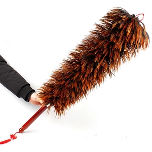 <span class=keywords><strong>Plumeau</strong></span> en Plumes Naturelles Ultime, Écologique et Durable, avec Manche en Plastique pour le Nettoyage Domestique - Product Image 5
