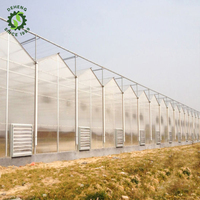 Fabrication en usine diverses serre à panneaux solaires agricoles à plusieurs étages à structure verte à vendre