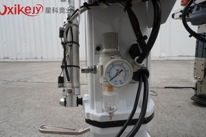 Macchina per Stampaggio a Iniezione Verticale Completamente Automatica con <span class=keywords><strong>Braccio</strong></span> Robotico Industriale - Product Image 4