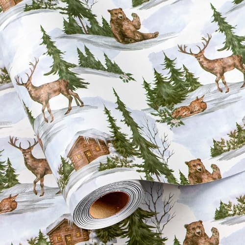 Deer Bear House