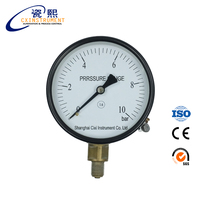 The CX-PG-P 0~40 Mpa 60mm Radial Install Stainless Steel 2.5% High Accuracy Oil Filled Pressure Gauge