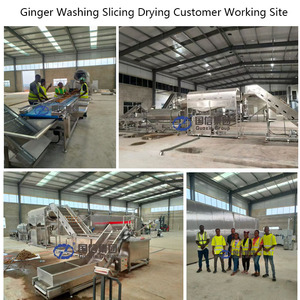 Hot Sales Ginger Production Line Export to South Africa Ginger Belt Mesh Dryer Continuous Drying <b>Machine</b> - Product Image 4