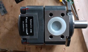 ปั๊มไฮดรอลิก QX61-200/31-020/33-010R QX41-040/32-010R09ปั้มน้ำมันเกียร์ QXV32-012R QXT42-032/42-032 QX42-020R06 - Product Image 5