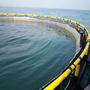 High Toughness HDPE Circular <b>Floating</b> Cage Anti-fouling Structure For Long Service Marine Farming - Product Image 4