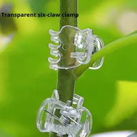 Transparan enam cakar Phalaenopsis klip bunga mawar berkebun clemagnetik batang cabang tetap plastik Pekerjaan taman sederhana