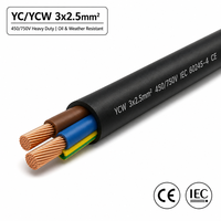 Câble d'alimentation électrique industriel YC YCW 3x2,5 mm² en cuivre, isolé XLPE, robuste, gainé de caoutchouc rond, flexible, 2 conducteurs