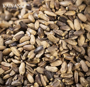 KAIYANGE - Té de Hierbas Secas 100% Orgánico al por Mayor, Semillas de <span class=keywords><strong>Cardo</strong></span> Mariano en Caja, Té Especial Desintoxicante en Bolsitas, Saboroso y Saludable para la Función Hepática - Product Image 4