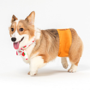 Pantalons sanitaires pour chiens, tissu non tissé respirant pour chiens mâles, utilisation quotidienne, pantalons de sécurité pour animaux de compagnie de couleur unie - Product Image 2