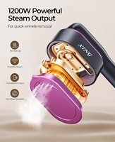2026 Hot New Arrivals Constant Temperature Portable Handheld Professional Powerful High-end Steam Iron Dry Iron