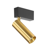 ECOJAS Spot35-T 2*5W Projecteur magnétique double tête de haute qualité