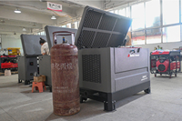 15KVA-30KVA 4-Zylinder Dual-Fuel-Generator Benzin/Propan Leiser Schallgedämmter Rahmen Eingebautes ATS Verzinkter Stahlrahmen Großhandel