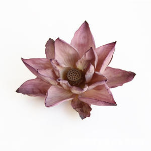 Fleurs séchées directement <span class=keywords><strong>de</strong></span> l'usine, fleurs <span class=keywords><strong>de</strong></span> lotus naturelles préservées, style zen chinois, décoration pour la maison, le spa, le bureau, les mariages, les hôtels, les festivals - Product Image 4